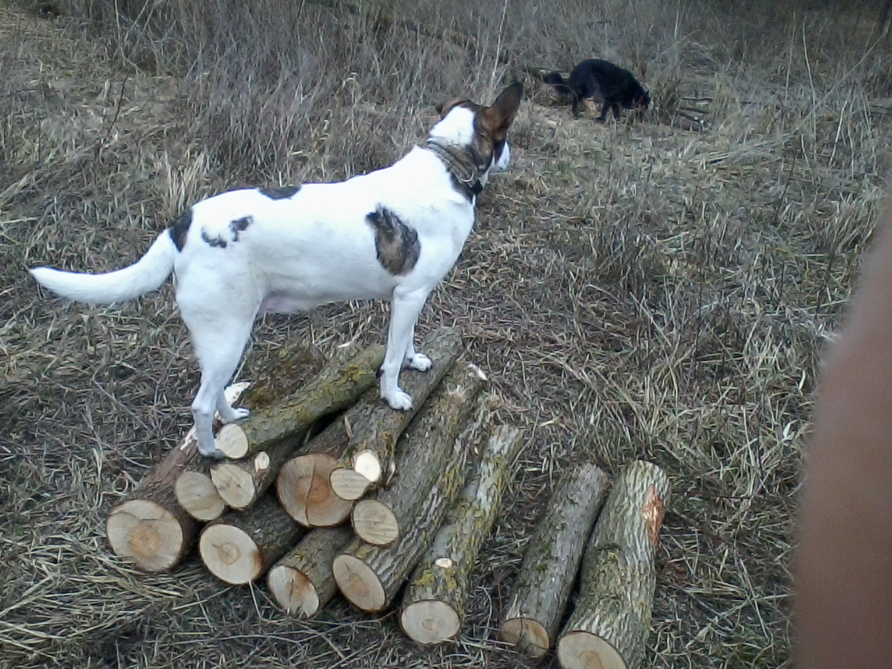 Hier stehe ich....jpg (1280 x 960)